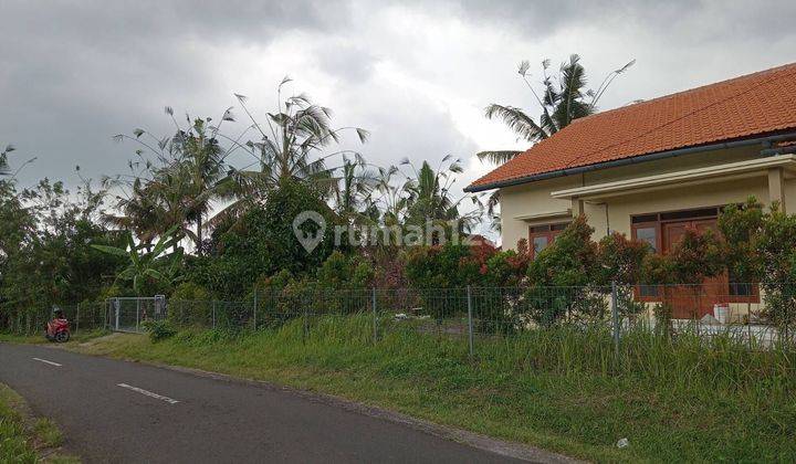 Rumah Bagus Baru Dgn Tanah Luas Di Selemadeg Tabanan Bali 2