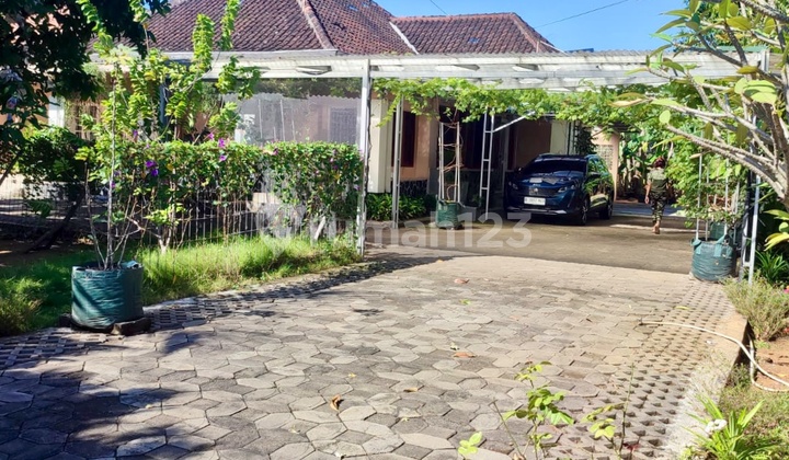 Rumah Bagus Asri Luas Dengan Kebun Di Serengan Solo Kota Rumah Bagus Asri Luas Dengan Kebun Di Serengan Solo Kota