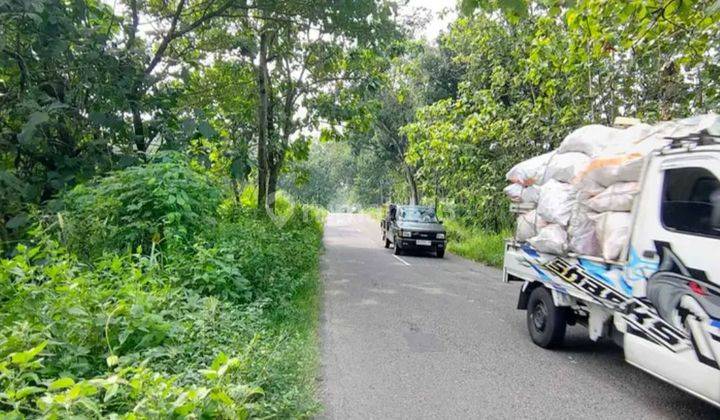 Tanah Strategis Pinggir Jalan Utama Sambi Nogosari Boyolali  2