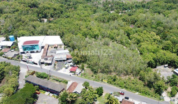 Tanah 1,8 Ha Murah Kawasan Industri Kulon Progo Yogyakarta 1