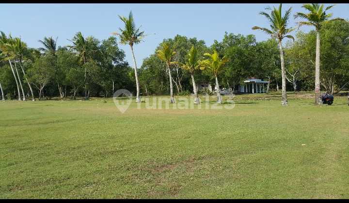 (TN047) Dijual Tanah Premium Jalan Raya Panimbang, Tegal Papak 1