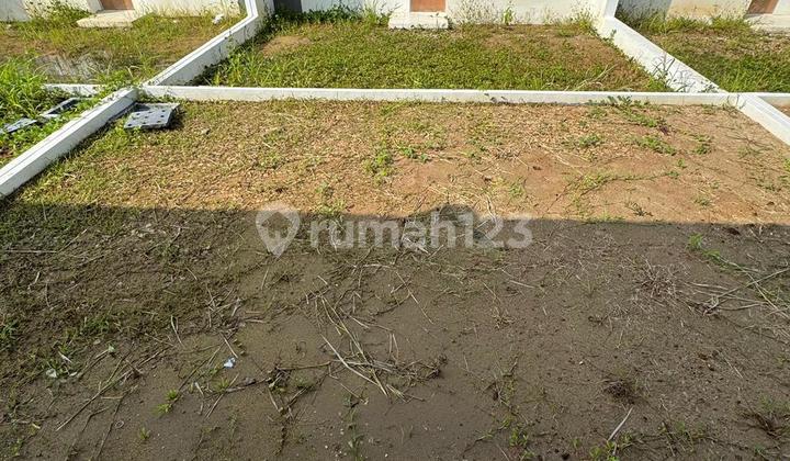 Di Bawah NJOP Rumah Siap Huni Podomoro Tenjo LT 7X15m2 Bogor Jawa Barat Di Bawah NJOP Rumah Siap Huni Podomoro Tenjo LT 7X15m2 Bogor Jawa Barat