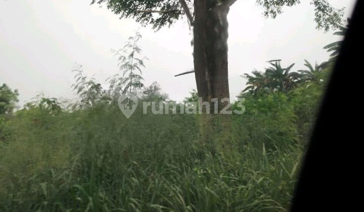 Dijual Tanah Di Bayur Lt 16.500m2 Sepatan Tangerang 1