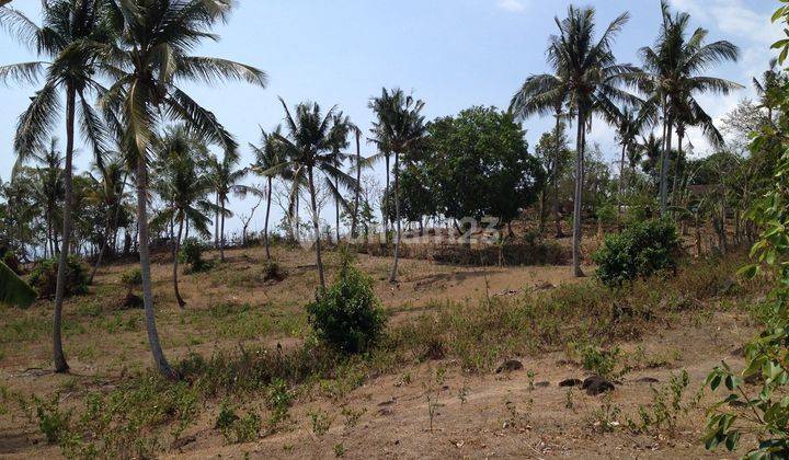 Tanah Langka Lokasi Premium Hanya 500 M Ke Pantai Di Lombok Barat 1