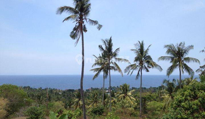 Tanah Langka Lokasi Premium Hanya 500 M Ke Pantai Di Lombok Barat 2