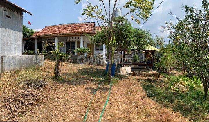 Tanah Perkebunan Dekat Pantai Seririt Plus Bangunan 2 Kamar Tidur 2