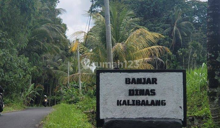 TANAH KOMERSIL VIEW SAWAH DI PAYANGAN TABANAN DEKAT TEMPAT WISATA 2