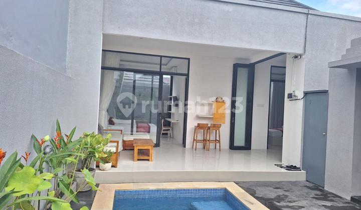 Villa Brand New For Rent With Ricefield View At Ubud Bali 2
