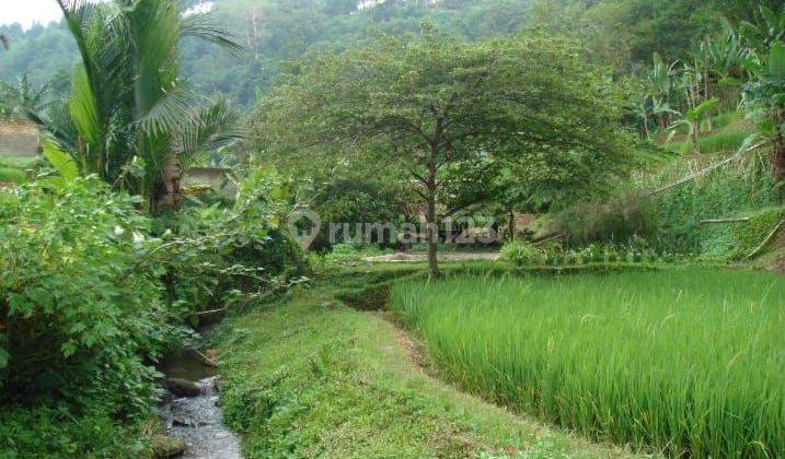 Tanah Bagus Untuk Villa Dan Hotel Di Area Tapos Pancawati Bogor 2