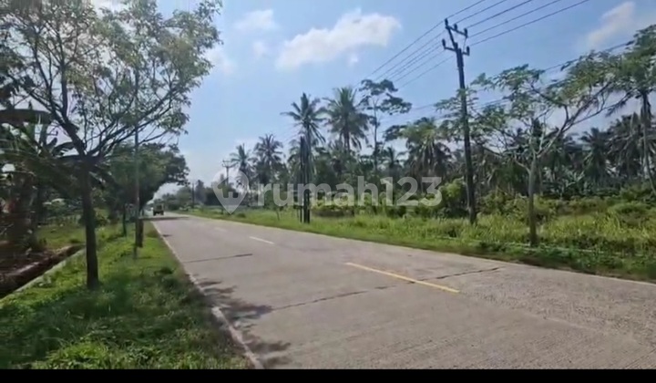 For Sale. Commercial land on Panimban Main Road, Tanjung Lesung area, Banten. For Sale. Commercial land on Panimban Main Road, Tanjung Lesung area, Banten.