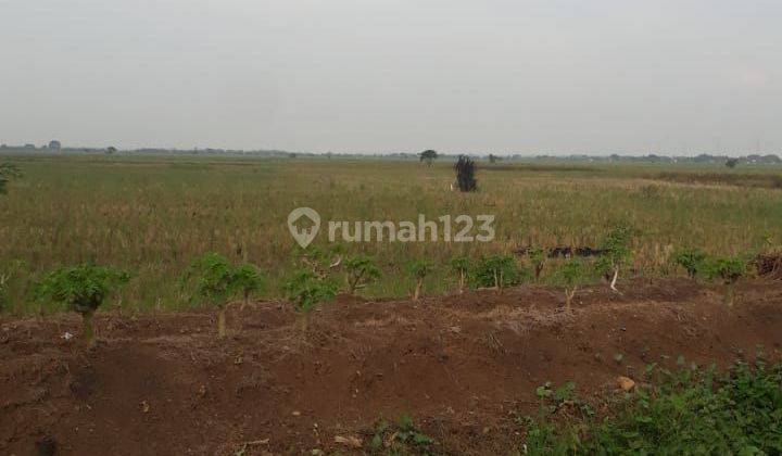 Tanah Potensual Untuk Perumahan Di Tambelang Bekasi 1