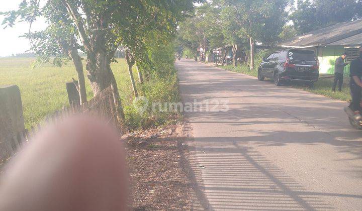 Tanah Padat Dan Kering Potensial Untuk Perumahan Atau Industri 2