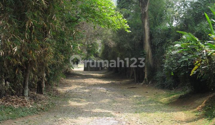 Tanah Komersial.di.jln Raya Cisarua.puncak Bogor Tanah Komersial.di.jln Raya Cisarua.puncak Bogor