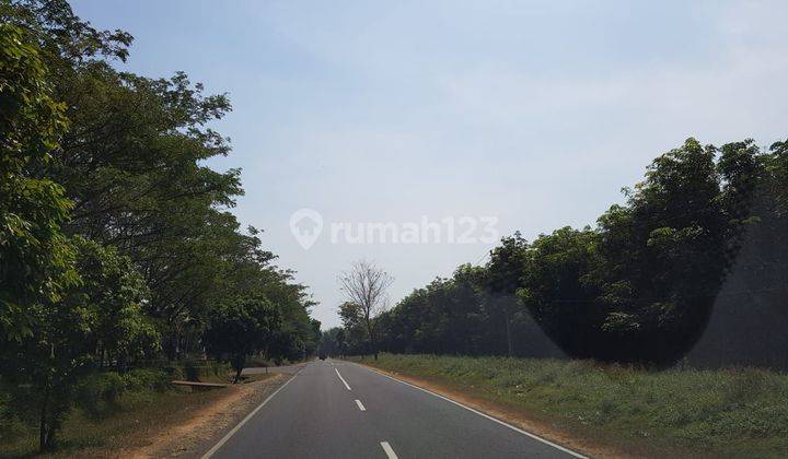 Di Jual Tanah Untuk Industri Dan Pergudangan Di CIBOGO SUBANG JAWA BARAT 2