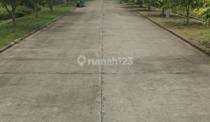 Tanah Padat Sudah Siap Untuk Perumahan Di Cikarang Kab.bekasi 1