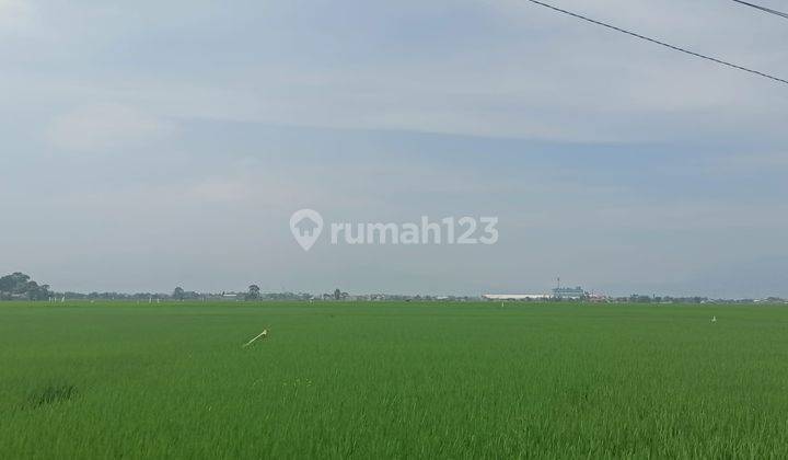 Dijual Tanah  7,8 Hektar Di Bojongsoang Bandung 2