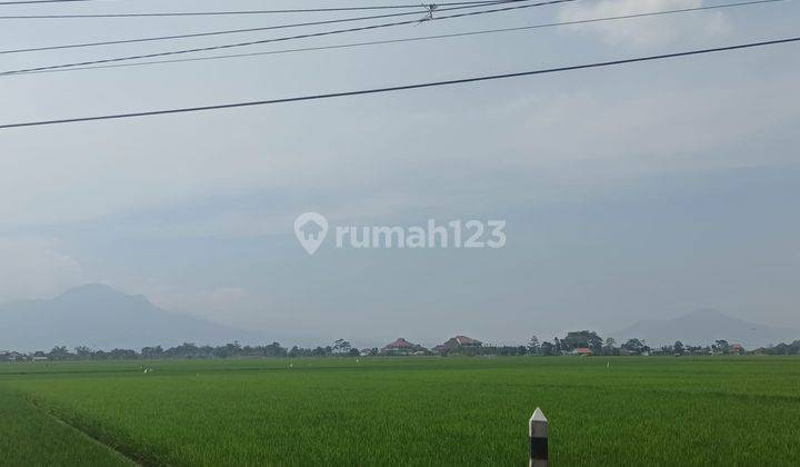 Dijual Tanah  7,8 Hektar Di Bojongsoang Bandung 2