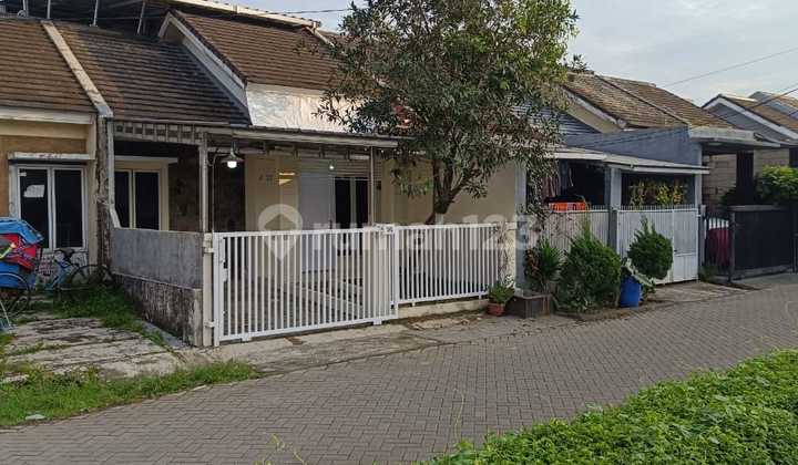 Rumah Nuansa Asri Laladon Ciomas Bagus Jalan Lebar
