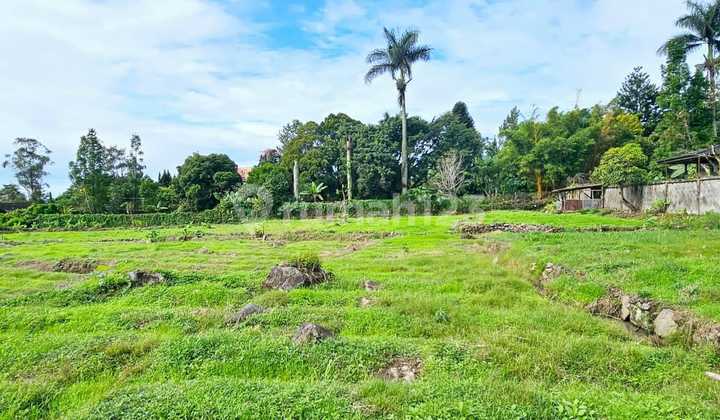 Jual Tanah Luas Cipanas Coolibah Puncak Sejuk Cocok Untuk Villa Jual Tanah Luas Cipanas Coolibah Puncak Sejuk Cocok Untuk Villa