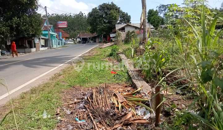 Tanah Ngantong Pinggir Jalan Pelabuhan Ratu Sukabumi