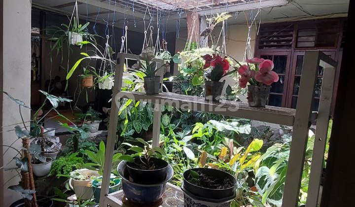 Rumah Di Jual Letak Strategis Di Pejompongan 2