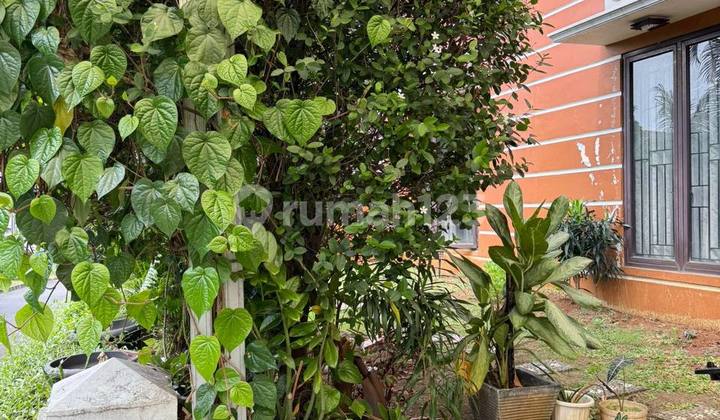 Rumah Kokoh Siap Huni Dekat Condet Tb Simatupang Pasar Rebo Jakarta Timur 2