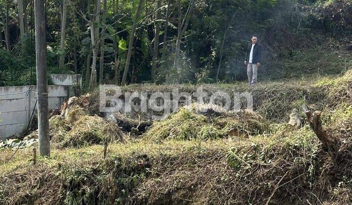 Tanah di Pinggir Jalan Utama Daerah Buring 1