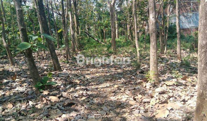 Tanah Yang Hanya 2 Menit dari Bandara Abdulrahman Saleh 2