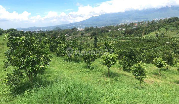 Tanah Murah Karangploso Malang Dekat Tempat Wisata 1