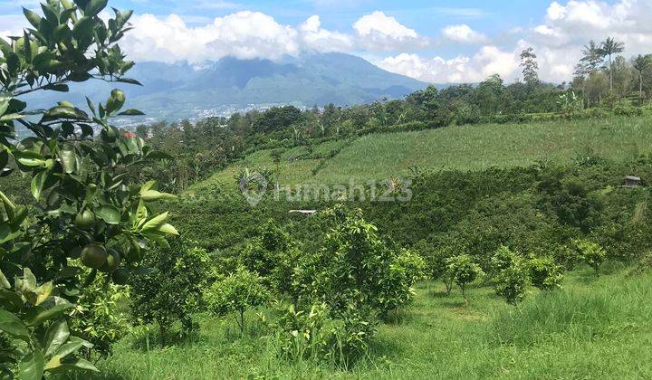 Tanah Strategis Dan Murah Di Karangploso Malang 2