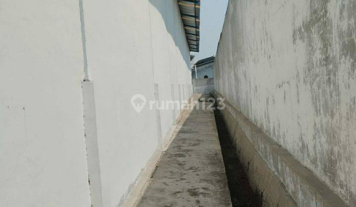 Disewakan Gudang Di Kapuk Kamal Luas 1.650 M2 Murah 1