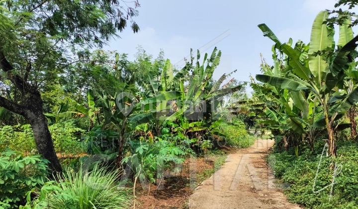 Tanah Siap Bangun di Baleendah Tanah Siap Bangun di Baleendah