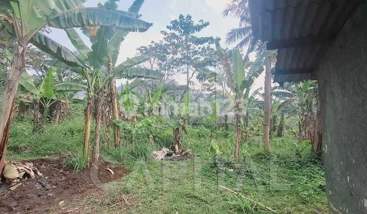 Tanah Luas Cocok Untuk Pergudangan Dan Pabrik Dekat Akses Tol di Mainroad Padalarang