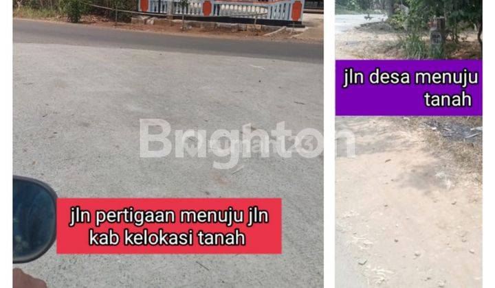 Butuh Segera! Tanah murah di Lebak 2