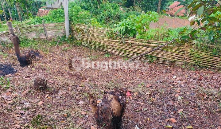 Land with a beautiful view in Cigudeg, Bogor.