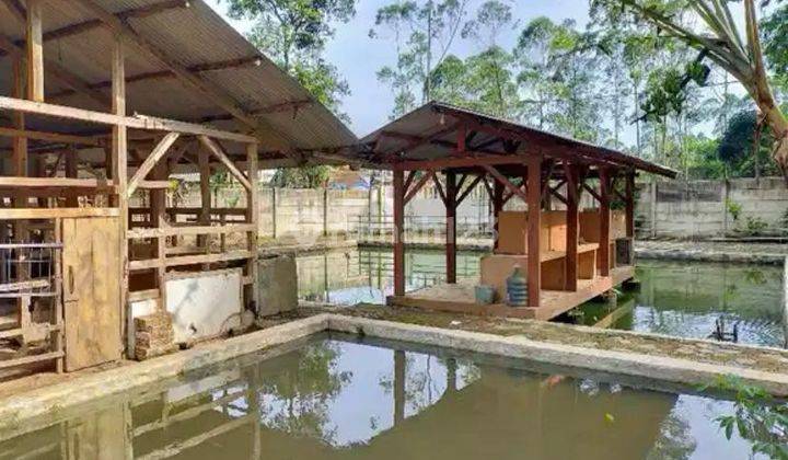 Dijual Rumah Villa Sejuk Dengan Kolam Dan Mata Air Pasir Impun 1