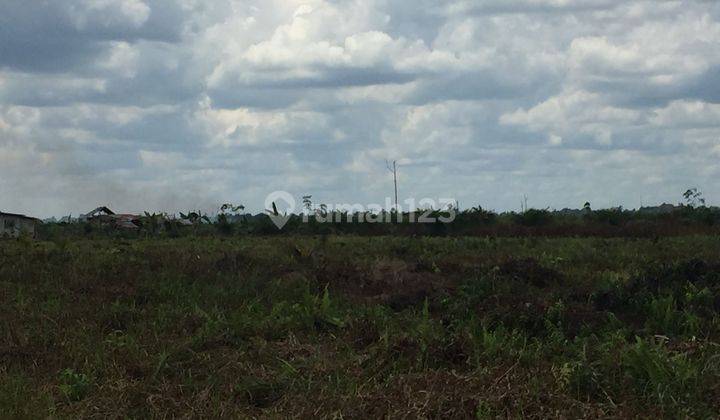 Tanah Kavling Luas Strategis Di Pontianak, Kalbar  2