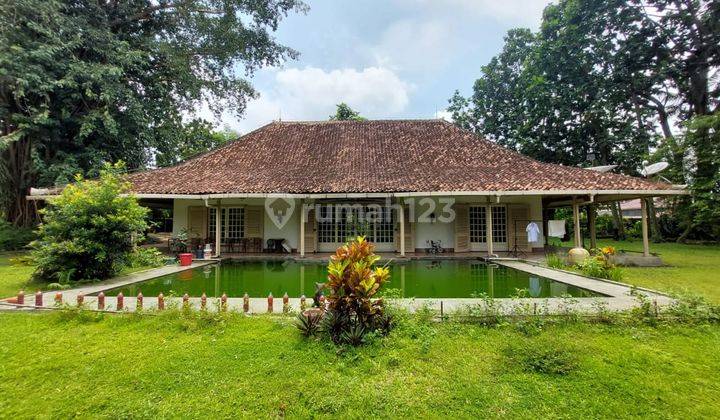 Jual Cepat Tanah Bonus Rumah Kolam Renang Dekat Pakuwon Mall  2