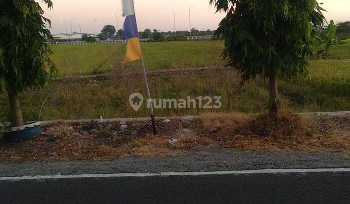 Tanah Sawah Depan Kelurahan Kebakkramat  2