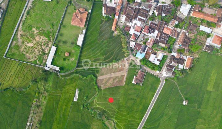 Dijual Sawah Zona Kuning 2