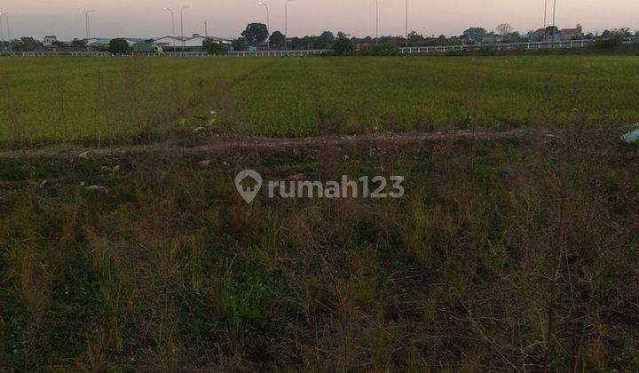 Tanah Sawah Depan Kelurahan Kebakkramat  2