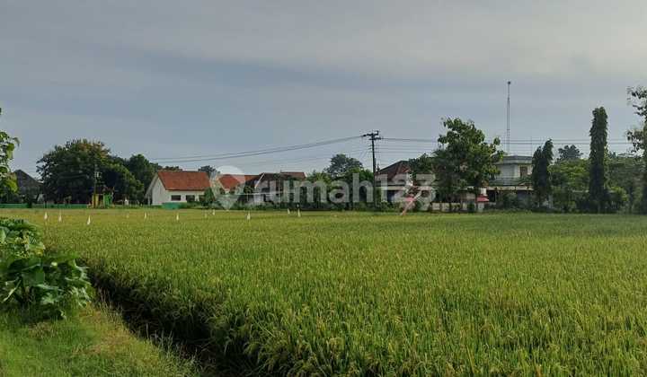 TANAH PEKARANGAN PULOSARI KEBAKKRAMAT  1