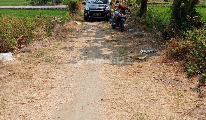 Tanah Sawah Zona Merah Kebakkramat 500 Juta 2