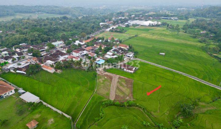 Dijual Sawah Zona Kuning 1