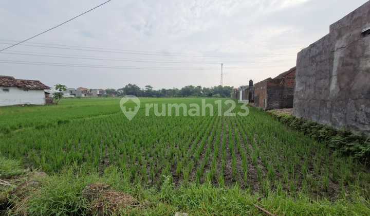 Tanah Hadap Selatan Baki Sukoharjo  2