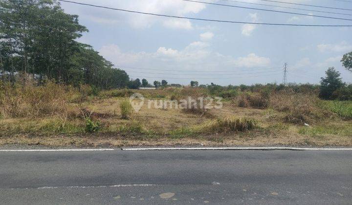 Sawah Dekat Jalan Tol Jogja-Solo  1