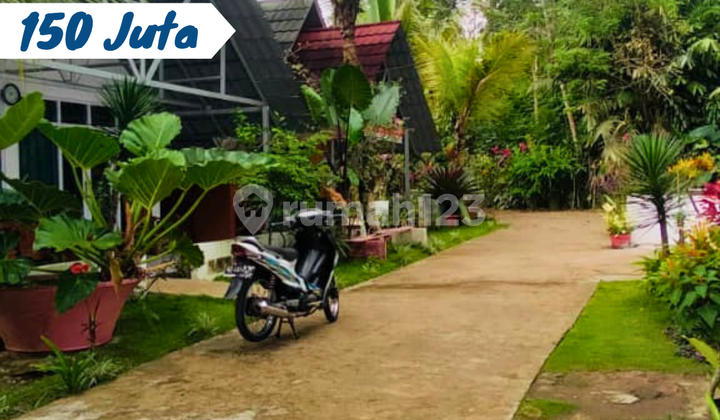 Tanah Pekarangan Murah Tawangmangu Tanah Pekarangan Murah Tawangmangu