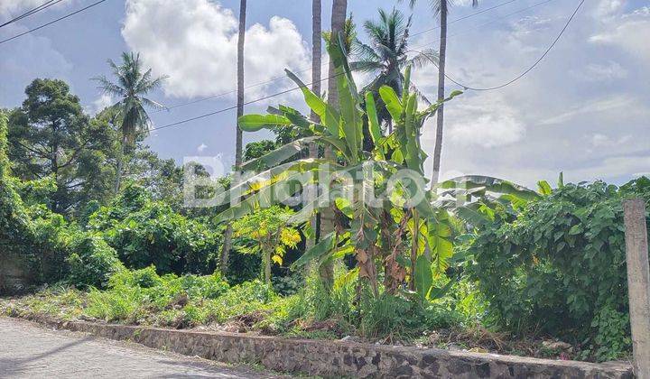 Tanah di jalan raya dekat kampus IAKN Tateli, dekat Lombart park , cocok buat kost2an 1