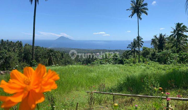 Tanah Besar View Laut, Bisa Jadi Prospek Tempat Wisata, Di Warembungan, Minahasa. 2