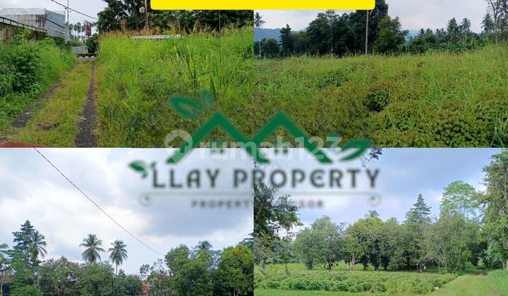 Prime Land on Protocol Road, Strategic, Cheapest Per Meter, on A.a. Maramis Street, 4km from Airport Suitable for Housing etc, Business District, Rapidly Developing Area, Fast Investment. Prime Land on Protocol Road, Strategic, Cheapest Per Meter, on A.a. Maramis Street, 4km from Airport Suitable for Housing etc, Business District, Rapidly Developing Area, Fast Investment.